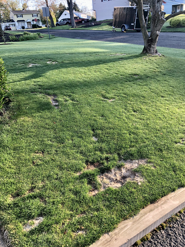 D6278E02-D9F9-4175-A68F-293528ACF479