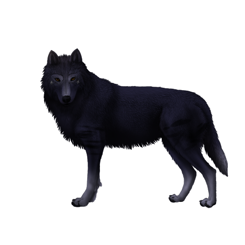 Untitled92-20260714144405.png