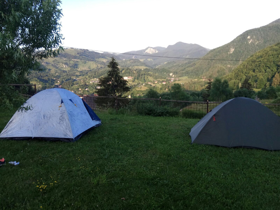 image1 (1)