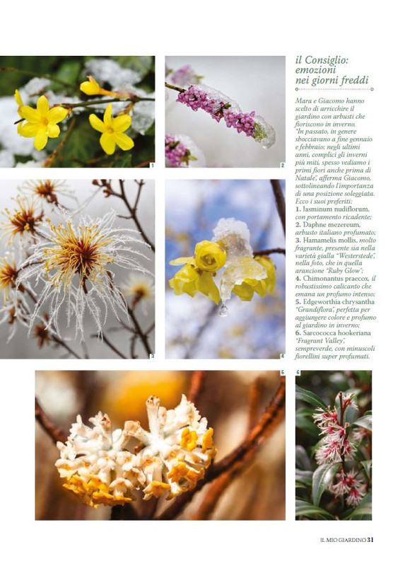 Il Mio Giar Dic 2025 Gen 2026 (8)