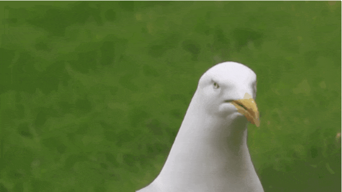 GIF-20250707-171050-794.gif