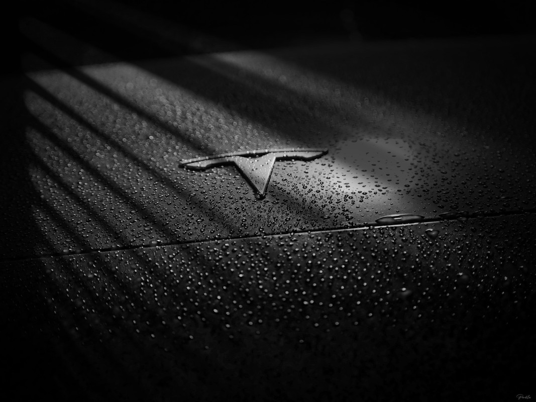 98FEA2D0-3BA0-4D49-9DEA-338182CBD763