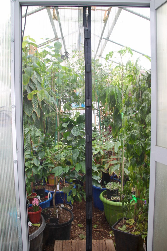 Everyone bundled into the tropical house