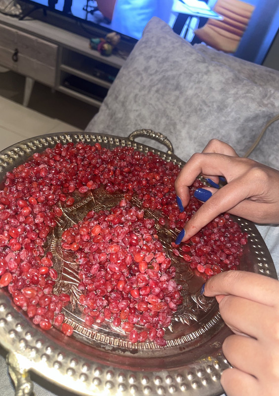 ۲۰۲۴۱۱۲۲_۱۱۳۲۵۸