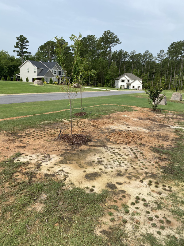 18E23C6A-060B-4CA2-9858-4A006A0714CB