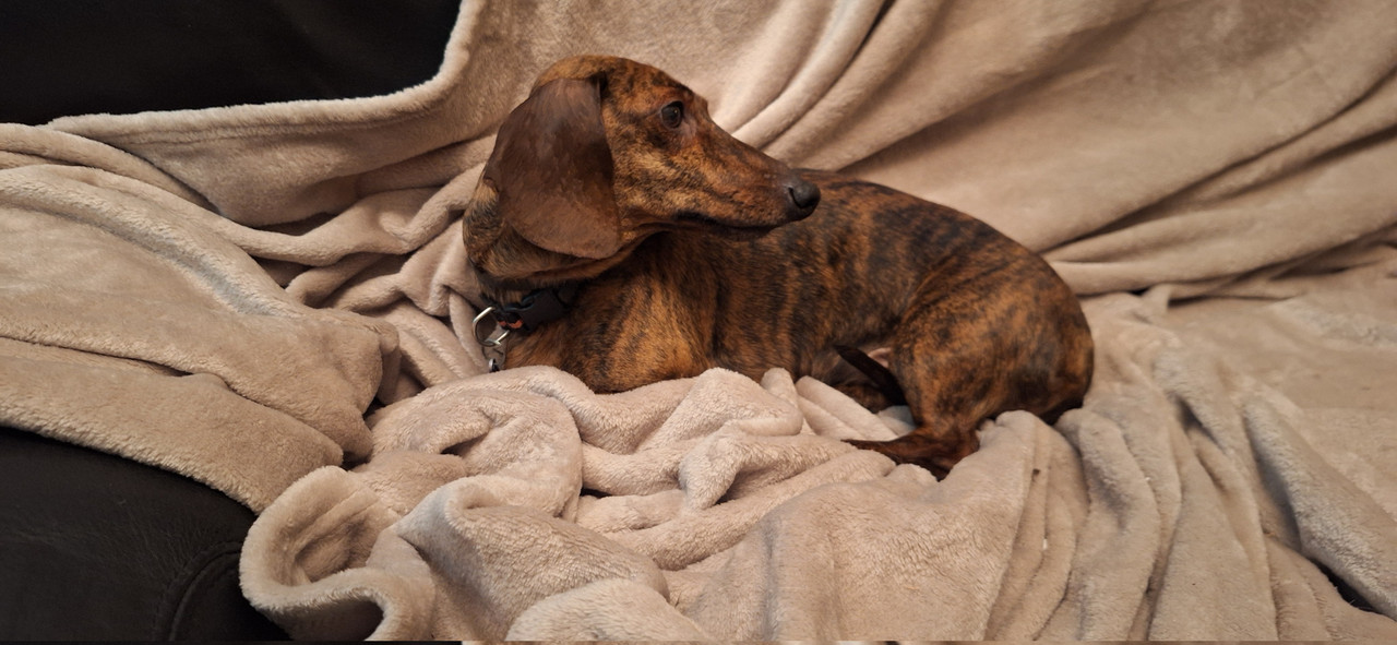 [Image: 20251211-183636.jpg]