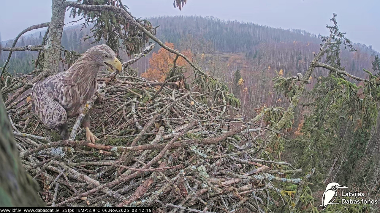 vlcsnap 2025 11 07 04h45m35s981