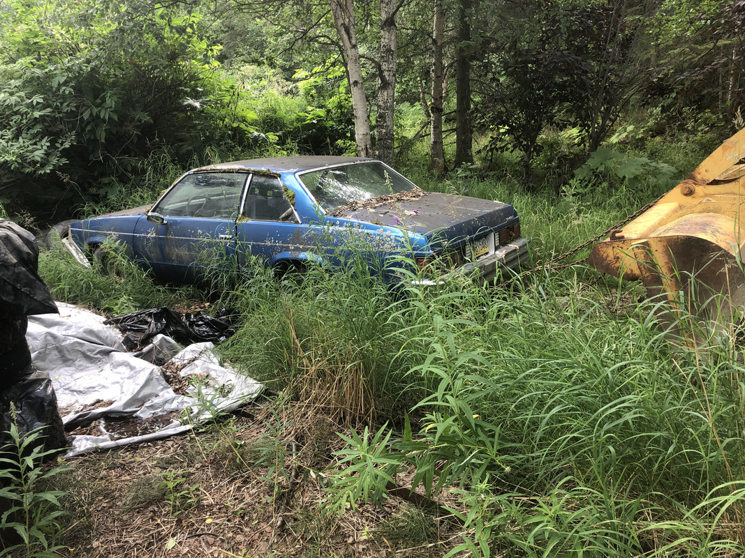 CAB3A07A-B4DC-4742-BED2-B472900800DE