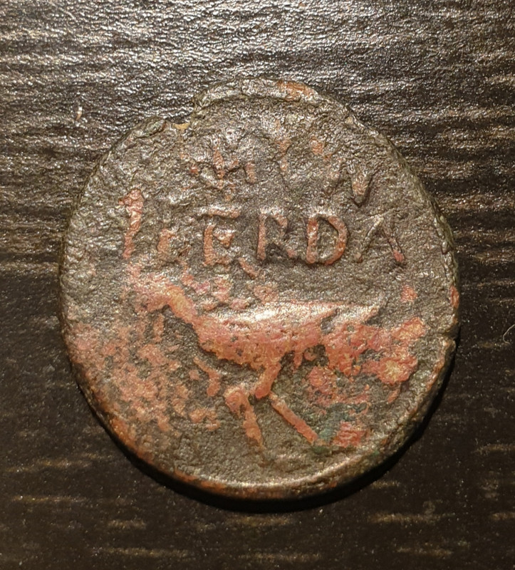 As de Ilerda, época de Augusto. MVN ILERDA. Loba a dcha. 20190825-184351