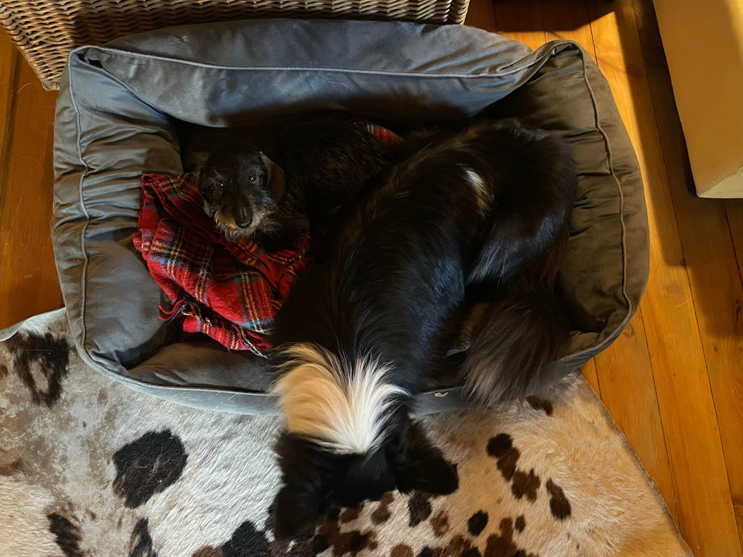 [Image: IMG-20240118-WA0009.jpg]