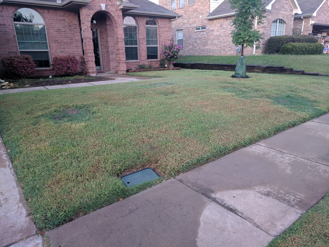 IMG_20190720_063450_1