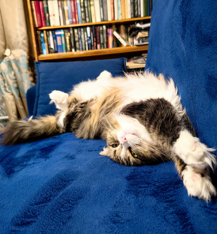 IMG_20250912_215449_edit_116503960371388