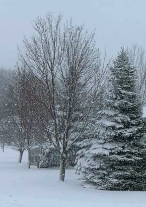 snow-20201201-ver2.gif