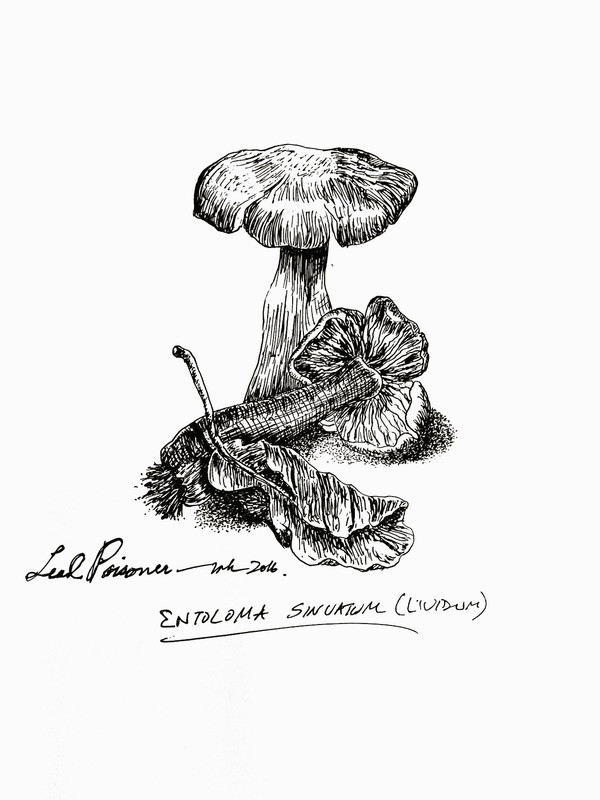 New Doc 2017-03-29 (8)_8