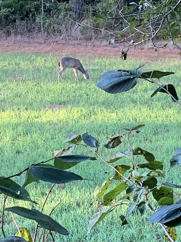 2C9687E2-0461-4D36-B230-F0BC721CA7F8