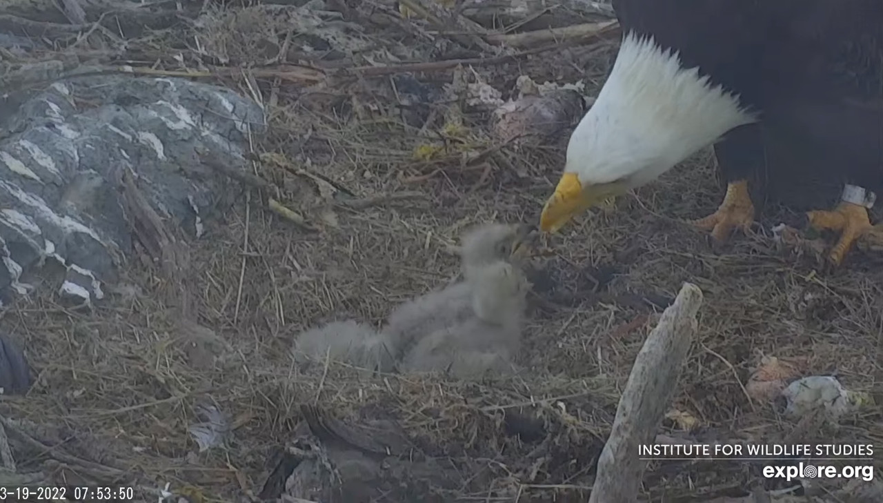 272D06B4-B3A9-4C51-BCEA-1E50B6E0F8FB