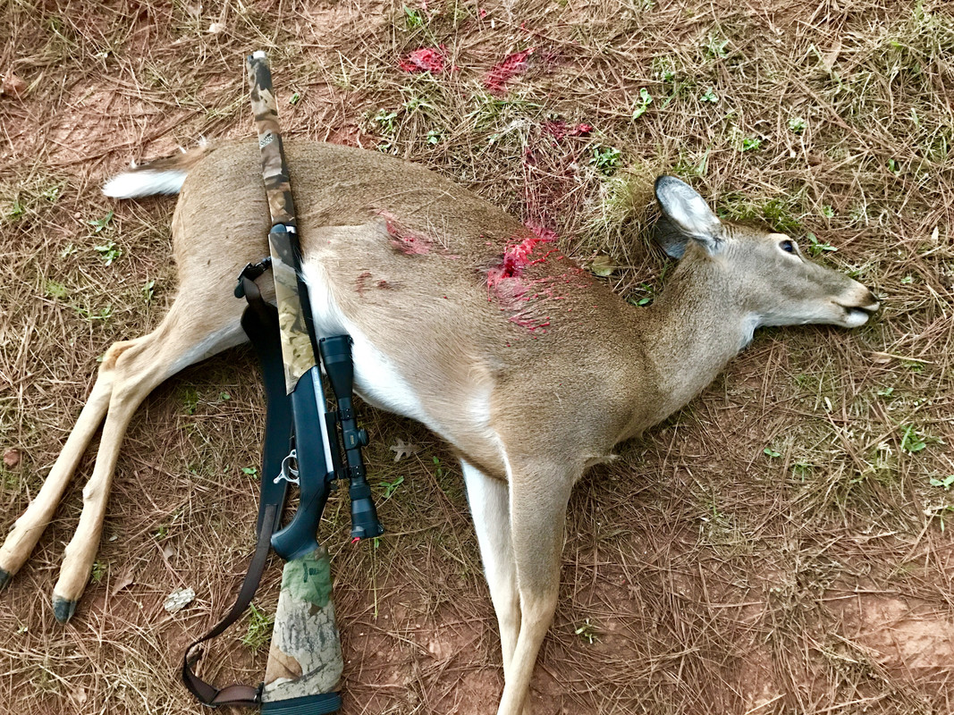 E40D38CF-92F8-464F-A7F3-2C21517C8480