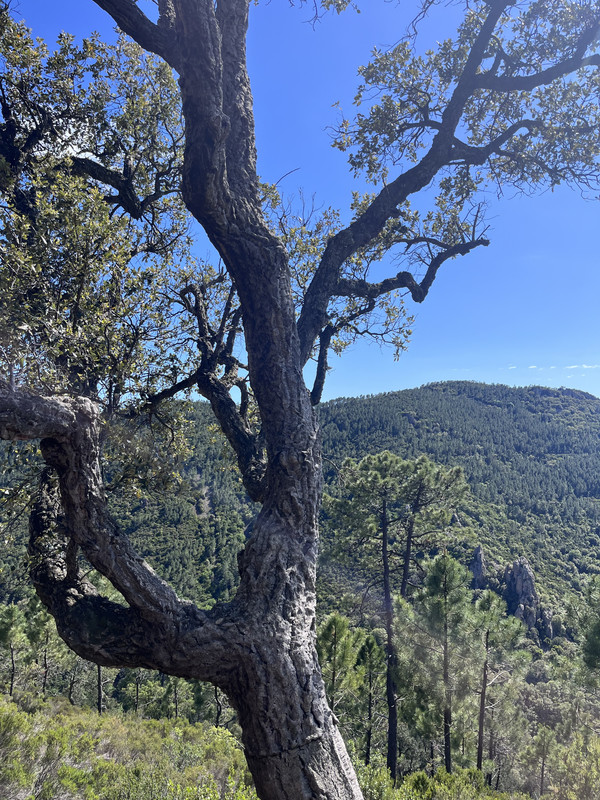 [Image: IMG-9090.jpg]