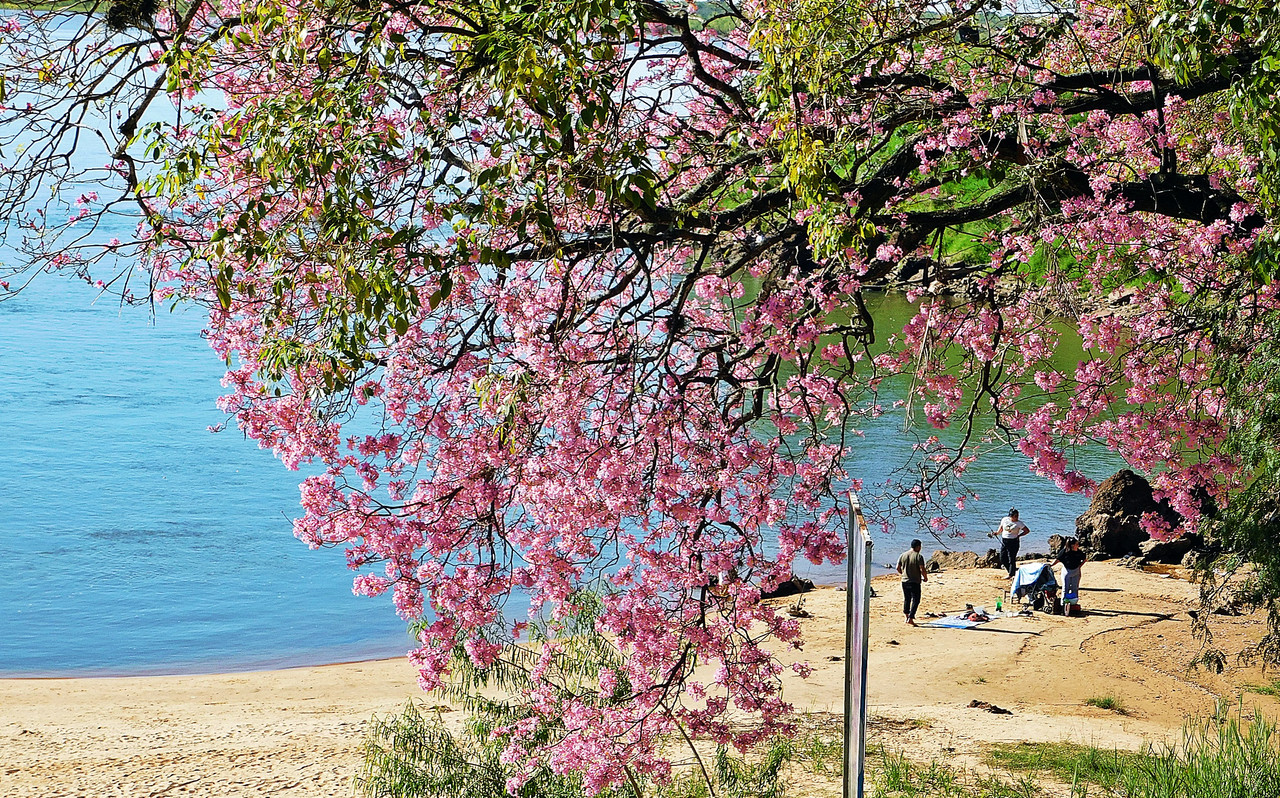 DSCN0418.jpg
