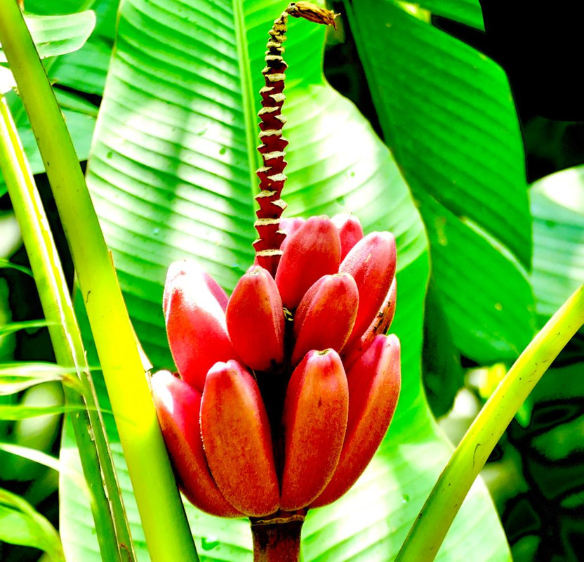 B531F265-78F2-47F5-A322-6D20262408E1