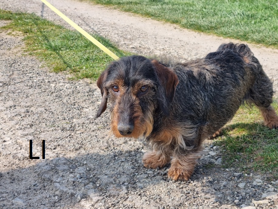 [Image: image000000020-1.jpg]