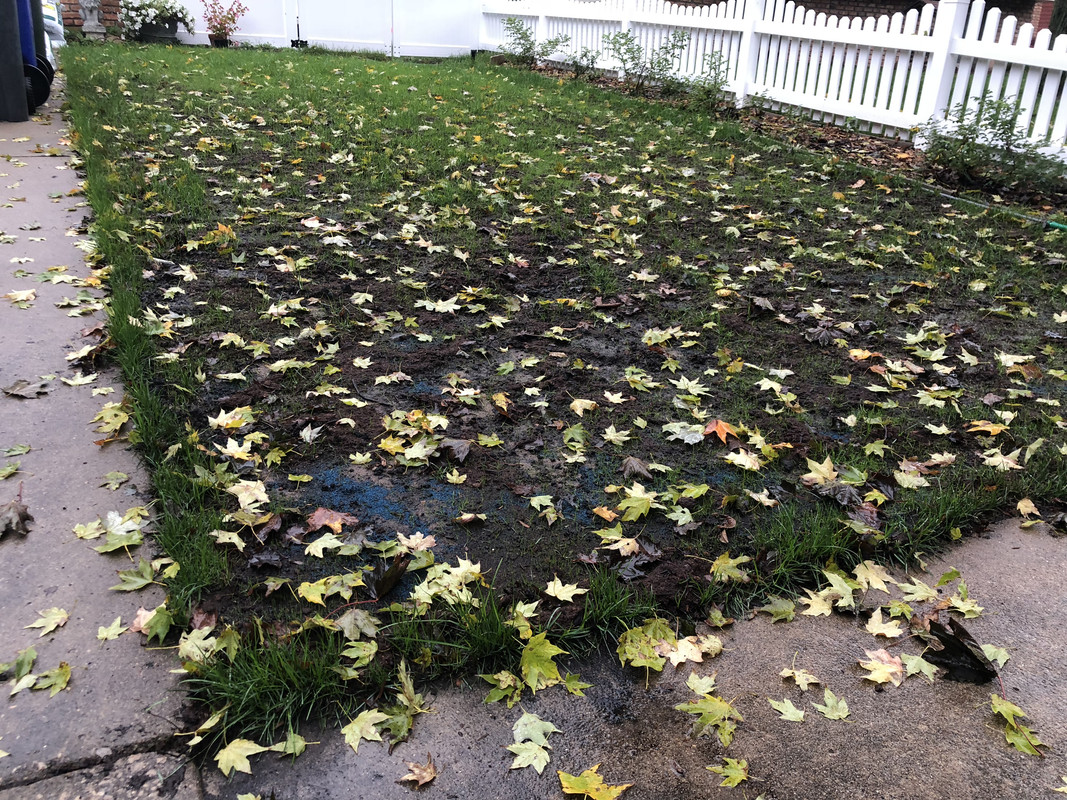 C2E11FD4-780D-4C6D-9393-87EE103B32B1