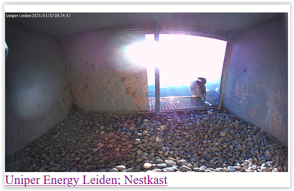 Screen Shot 03-02-25 at 08.21 AM