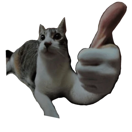 [Image: IMG-5688.webp]