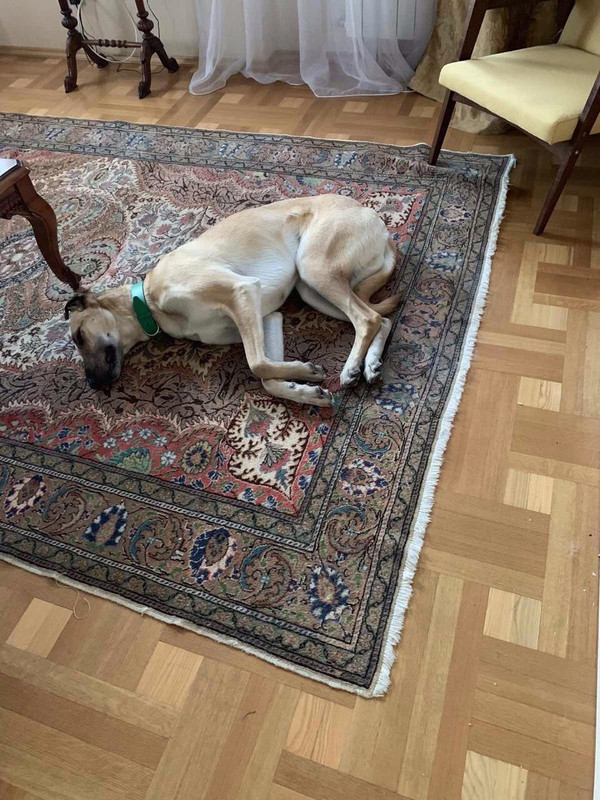 изображение_viber_2019-12-13_22-28-13