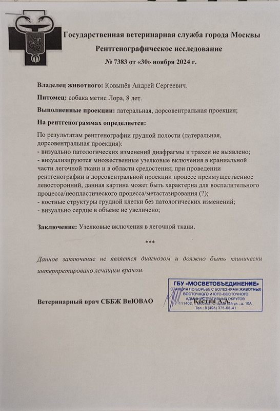 Рентген