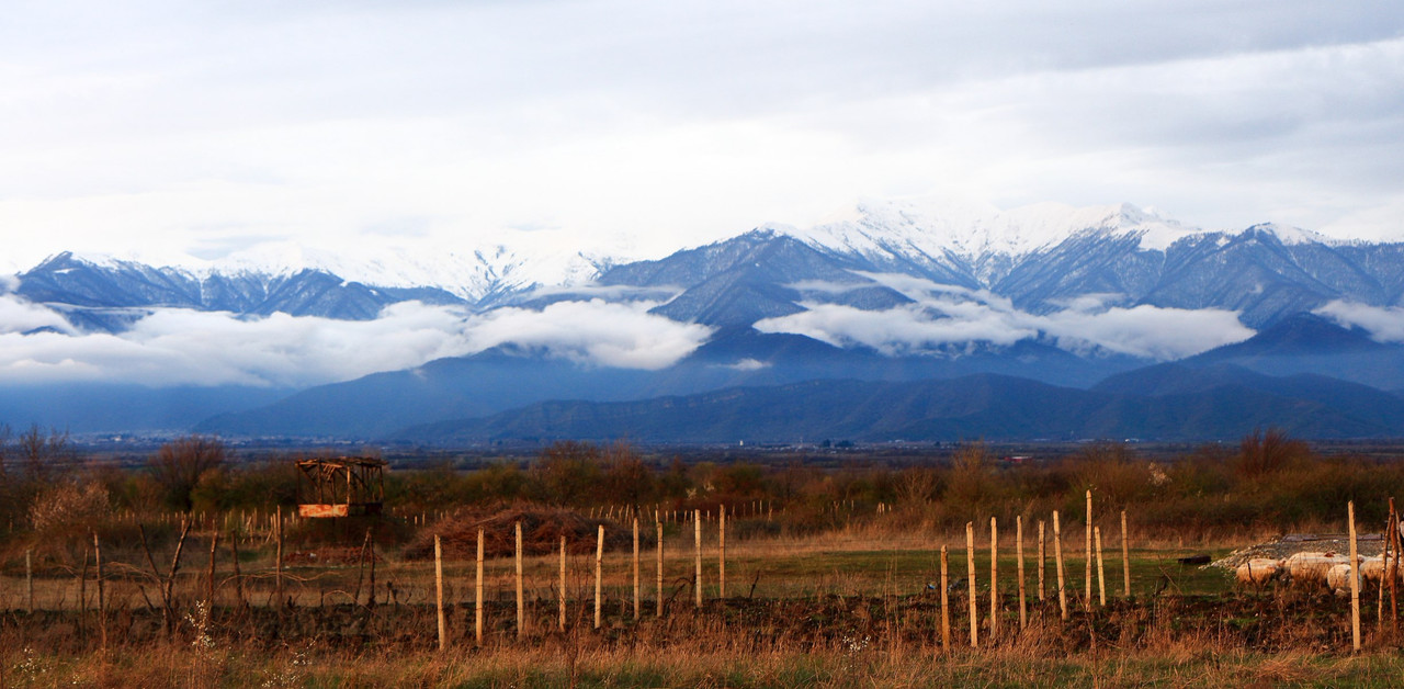 IMG_0146 (2447 x 1201)