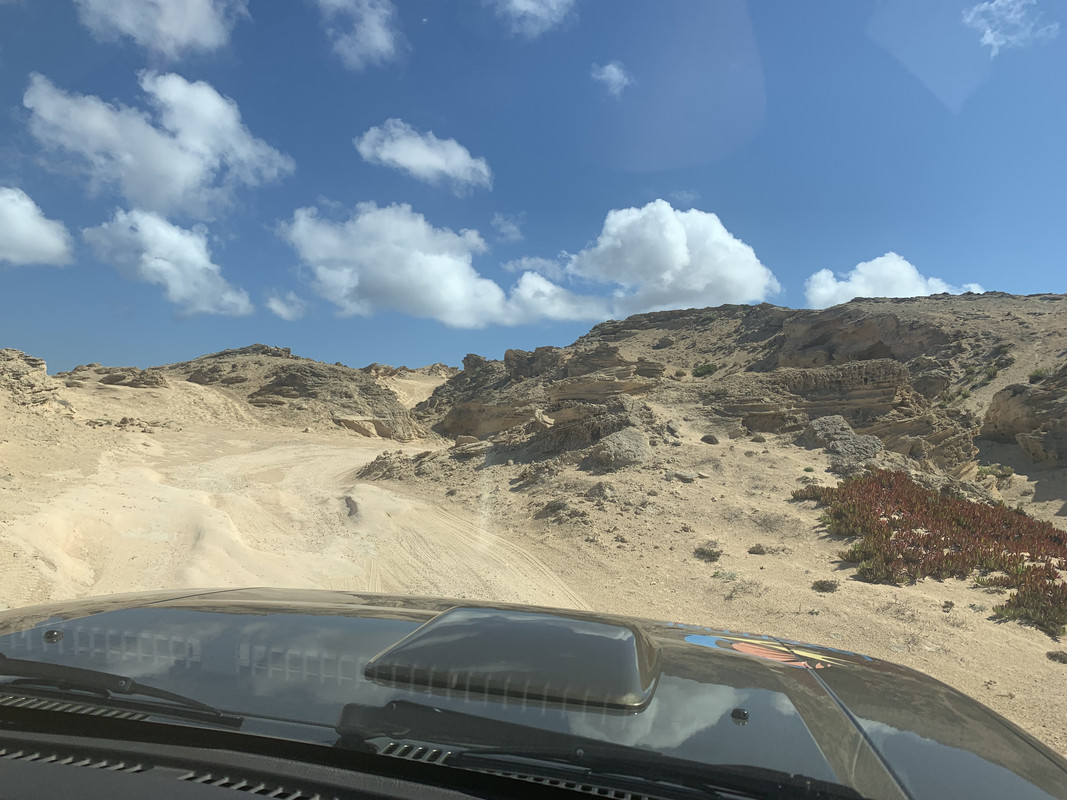 661277FA-678F-4D62-A06E-52230A81C3B0