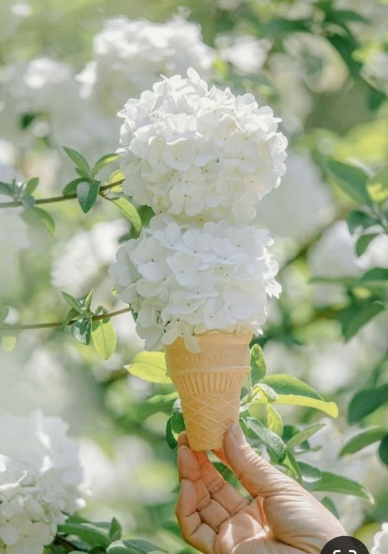 Screenshot_20240330_233823_Pinterest