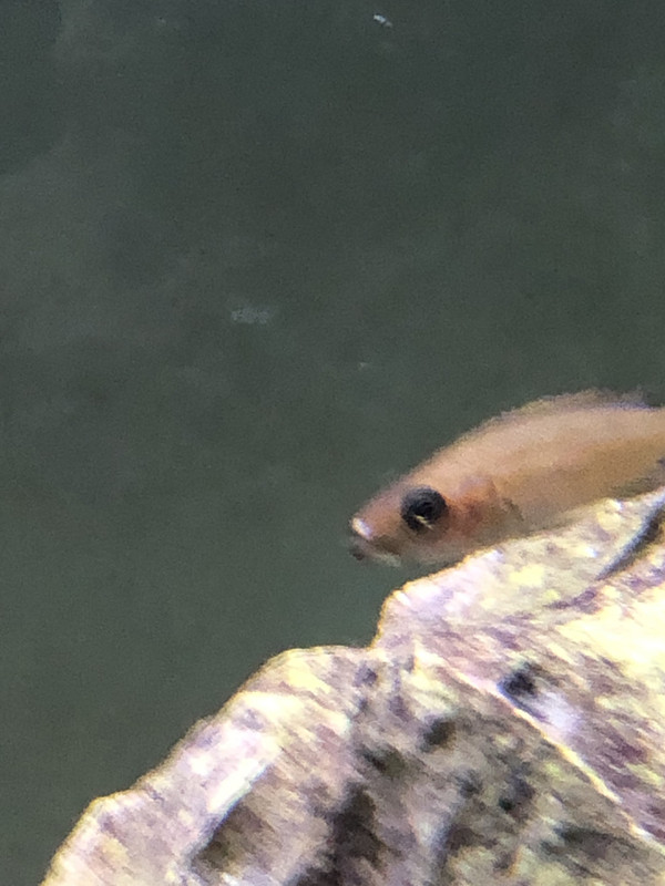 9AB54089-9512-4D47-B1E2-8F8FFC129F69