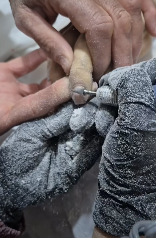 ۲۰۲۶۰۲۰۱ ۰۸۰۲۳۷