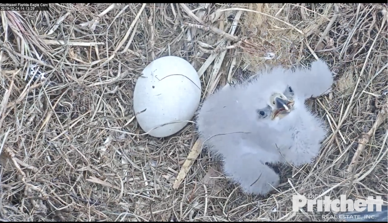 Zuid-West Florida 20191224-04 om 20.17.18