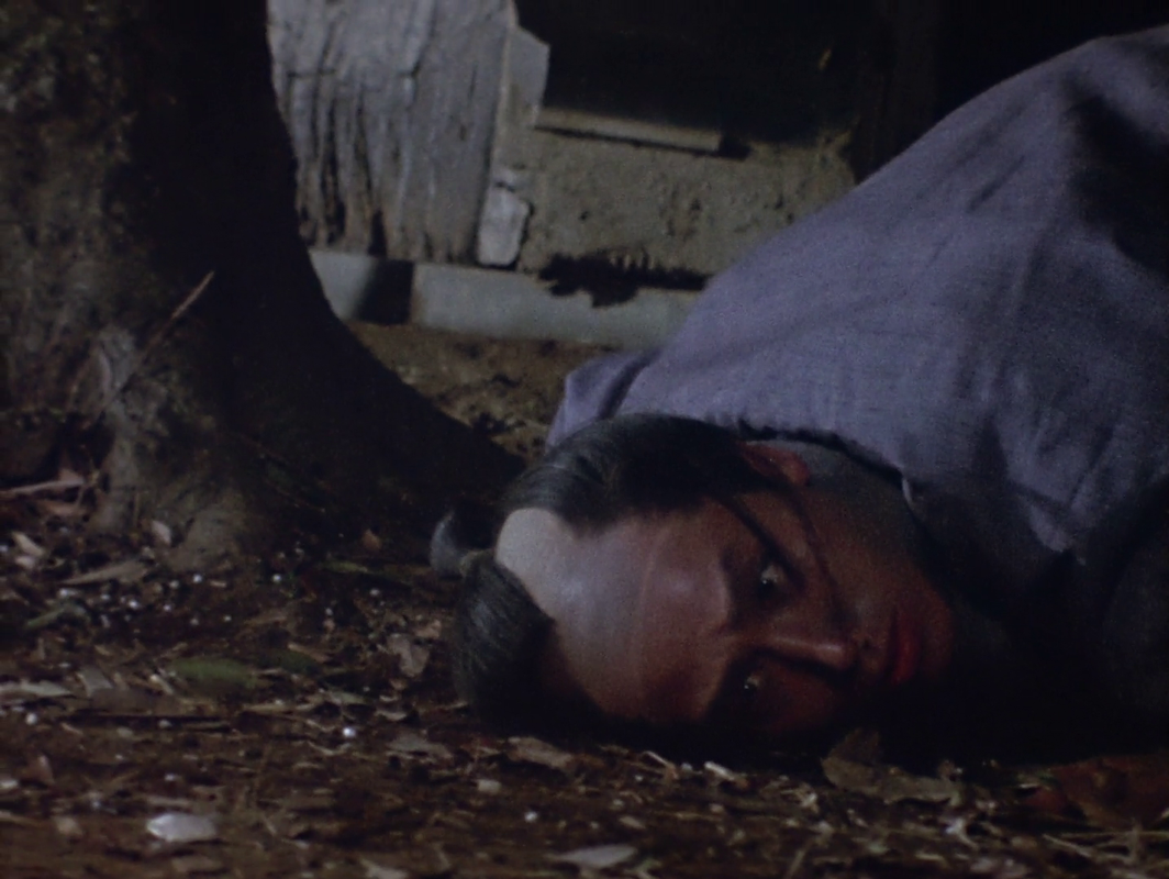 vlcsnap-2025-06-08-02h30m33s370