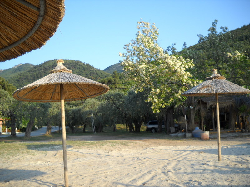Slika