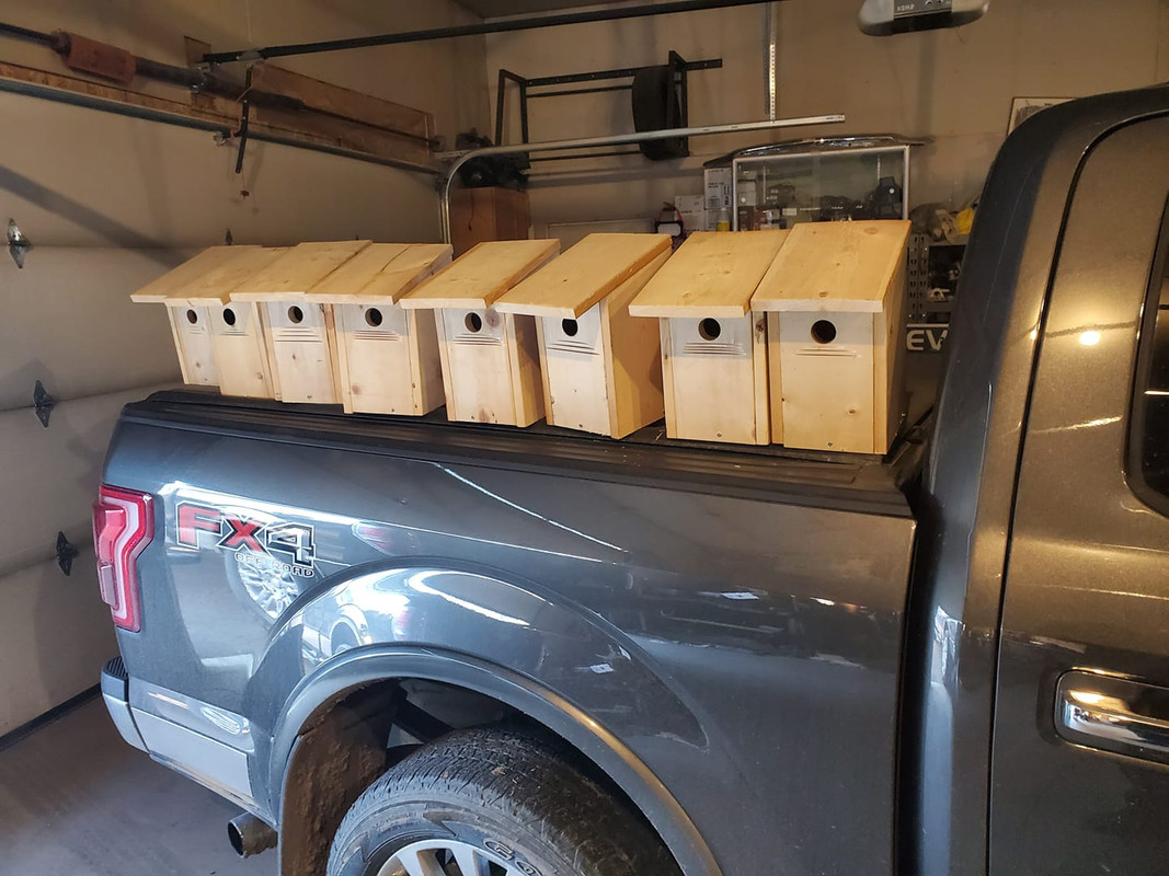 swallow homes — Postimages