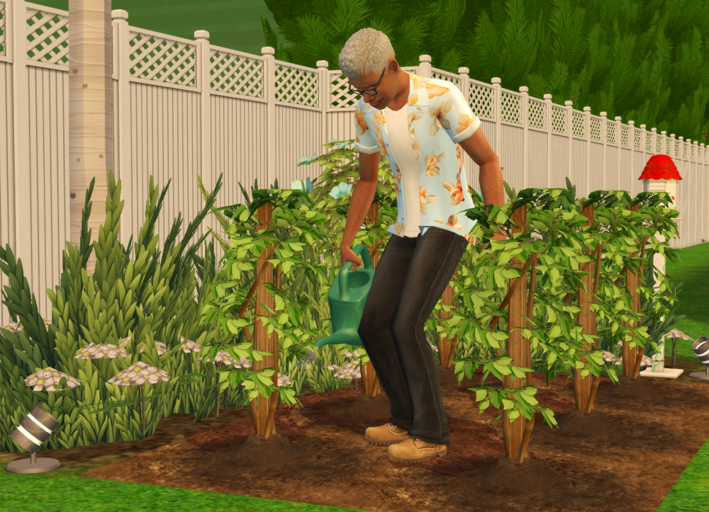 Sims2-EP9-RPC-2022-04-12-21-42-22-83