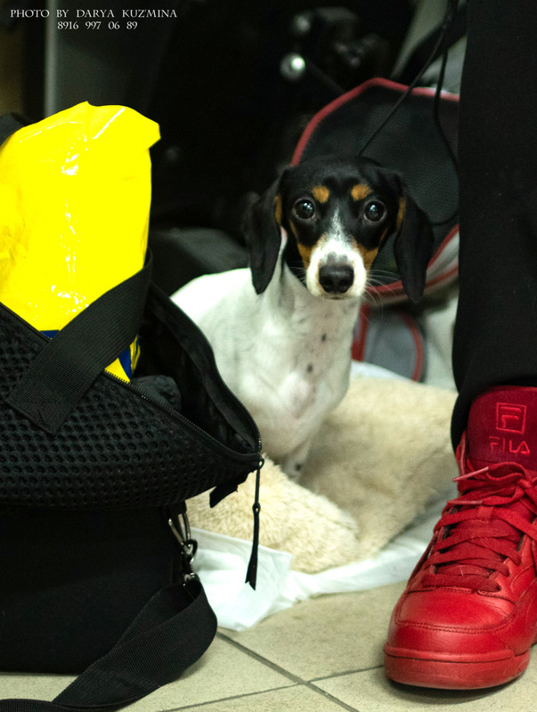 IMGP6910 - копия