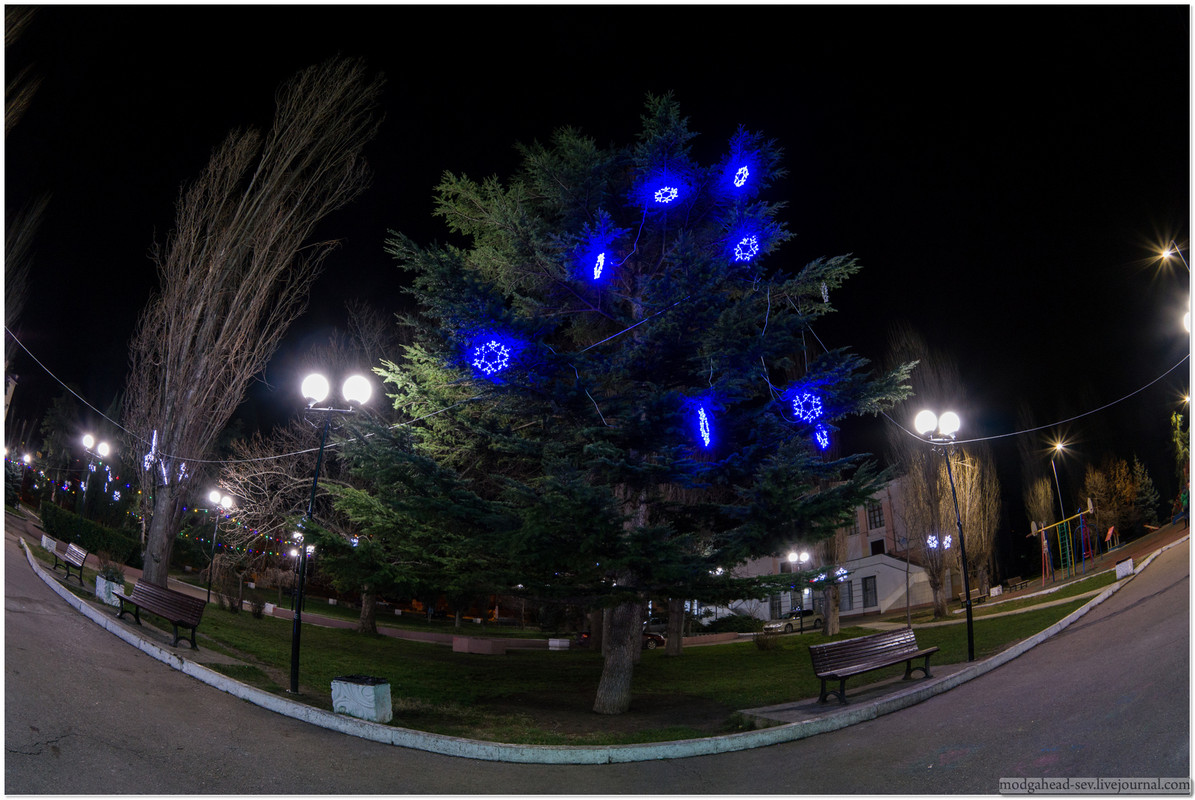New-Year-Bal-8010