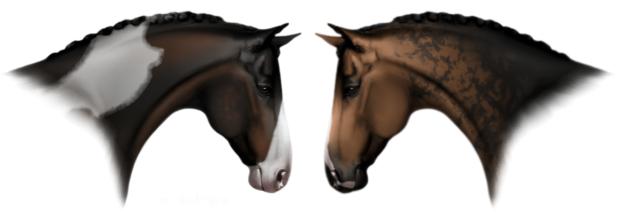 Untitled225_20250203022455