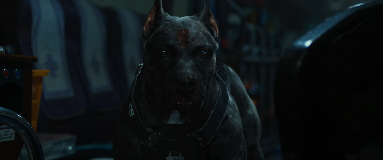 Project Silence 2024 BluRay [Hindi + Tamil + Telugu + Korean] 480p 720p ESub Screenshot