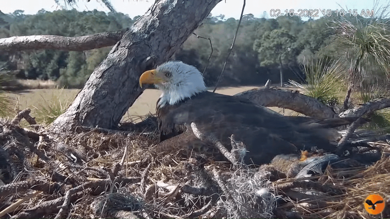 Webp.net-gifmaker (1)