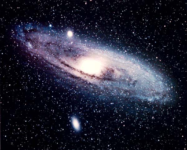 cosmos_1