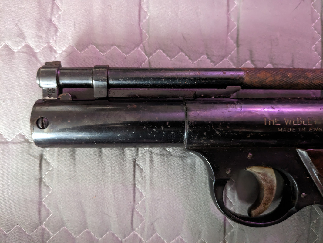 PXL_20230819_073758382.MP