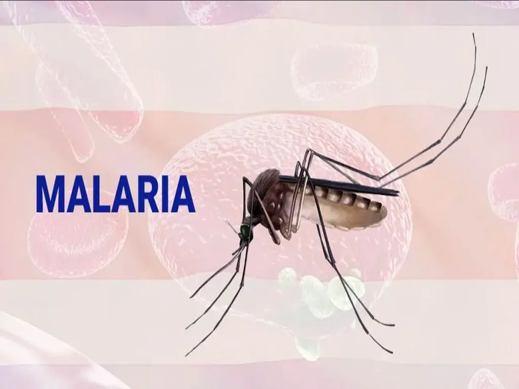Proliferación de malaria pone en alerta a EU