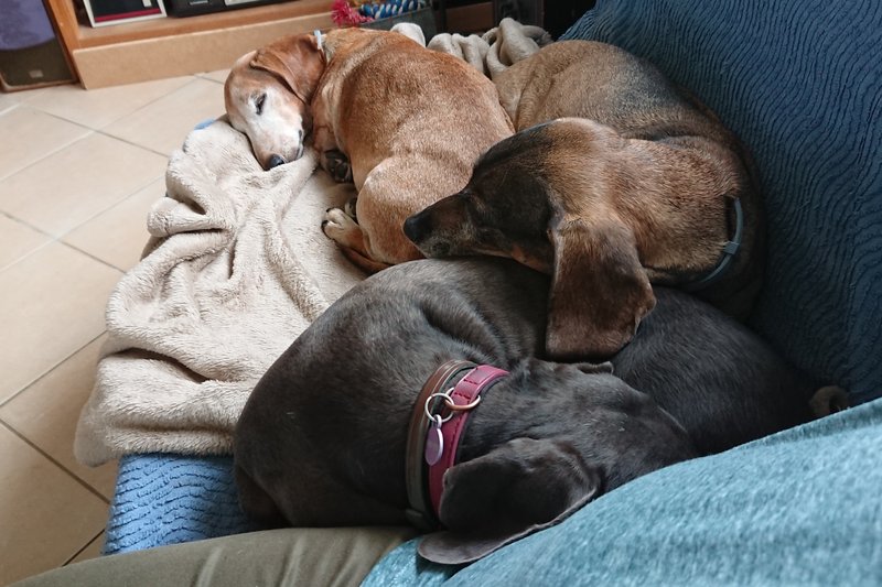 [Image: DSC-4127.jpg]