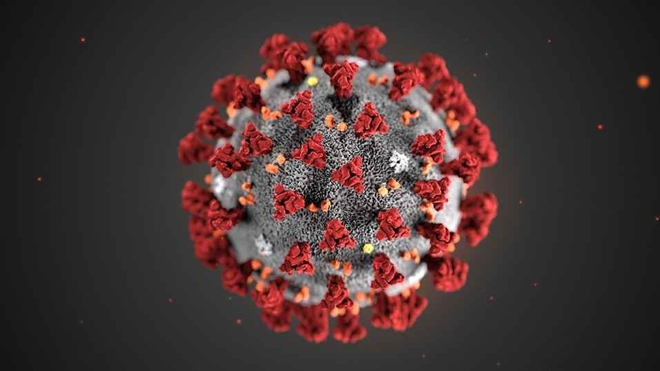 coronavirus-img.jpg
